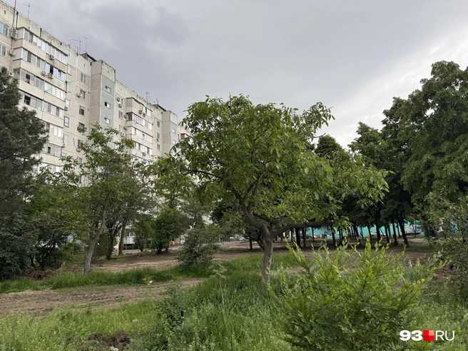 В самом сквере сейчас много зелени | Источник: Валерия Дульская / 93.RU