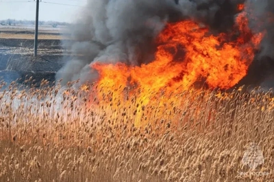 В Астраханской области вводятся строгие противопожарные правила