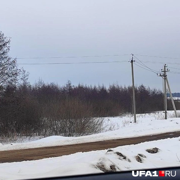 В Кабаково несколько песчаных карьеров, часть&nbsp;— закрыты | Источник: Марина Каримова / UFA1.RU