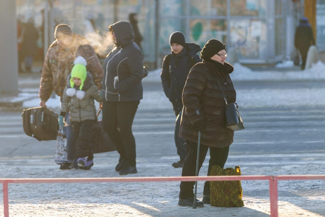 Вслед за осадками в регион придут крепкие морозы | Источник: Алексей Волхонский / V1.RU