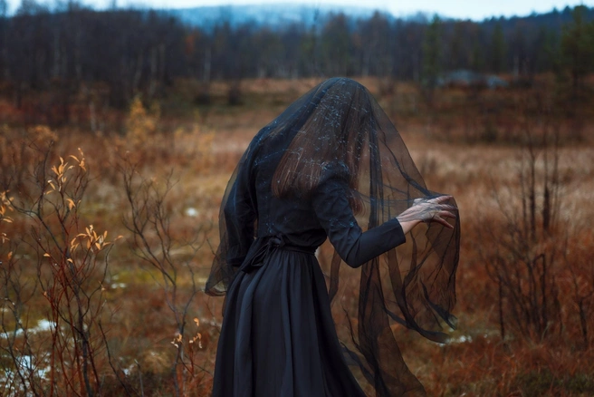 Сопка на Беринга | Источник: Андрей Хворов