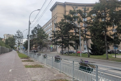 Мэрия Новосибирска рассказала о замене засохших лиственниц
