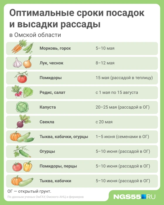 Источник: Мария Романова / Городские медиа