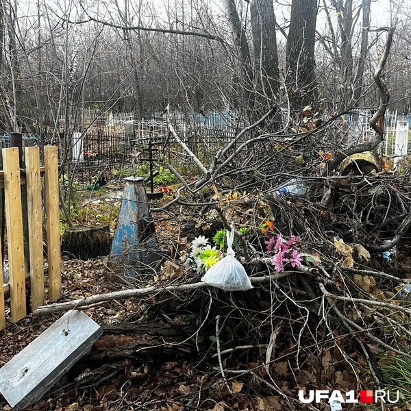 Источник: Екатерина Чижик / UFA1.RU