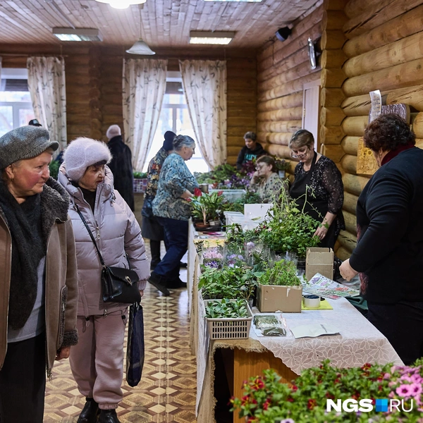Ярмарка-выставка будет работать три дня | Источник: Александр Ощепков / NGS.RU