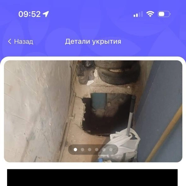 Источник: Приложение «Моя Кубань»