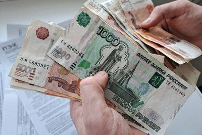 Водитель автобуса осужден за контрабанду 754 рогов сайгака