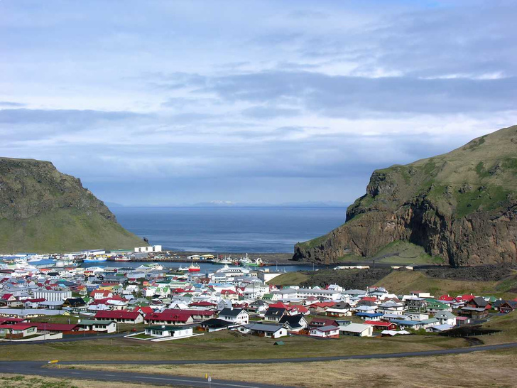 Символ национального характера исландцев: необыкновенная история «человека-тюленя»