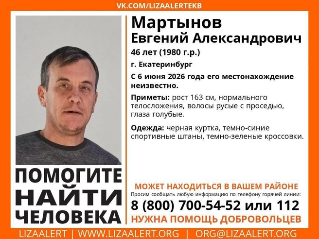 Источник: Поисковый отряд «ЛизаАлерт» Свердловской области