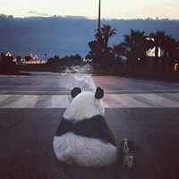 Аватарка Lili_tot