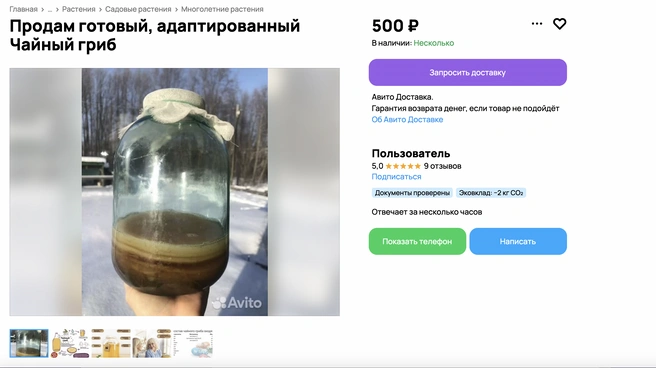 Источник: Avito