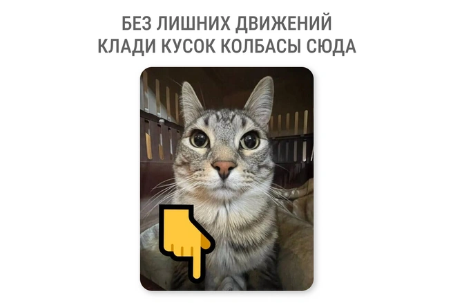 Это нападение | Источник: Мария Романова / Городские медиа