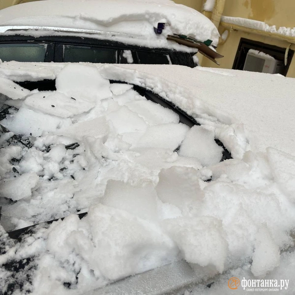 Источник: читатель «Фонтанки»