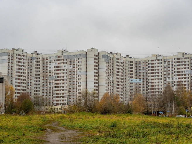 Здесь расположены одни из самых крупных панельных домов в городе | Источник: Кирилл Поверинов / 76.RU