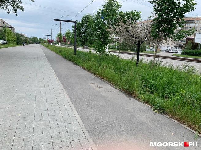 К дорожкам для пешеходов, велосипедистов и самокатчиков на бульваре вопросов нет | Источник: Полина Котышева / MGORSK.RU
