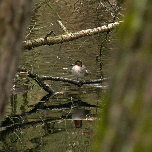 Источник: Павел Глазков / «Каждой твари по паре»