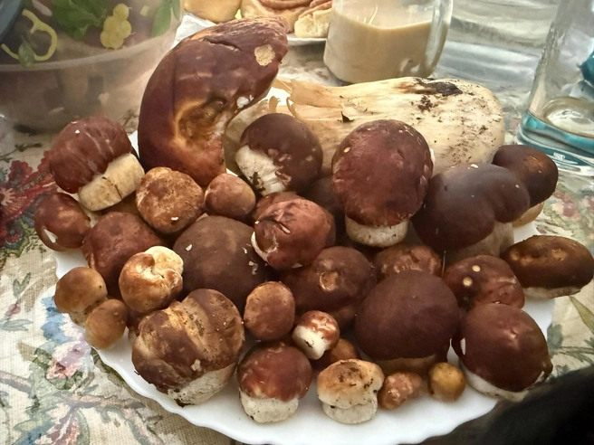 Источник: Даниил Цыганков