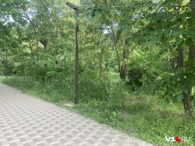 Источник: читатели V1.RU