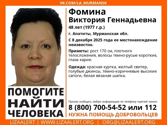 Источник: поисковый отряд «ЛизаАлерт» Мурманской области / Vk.com