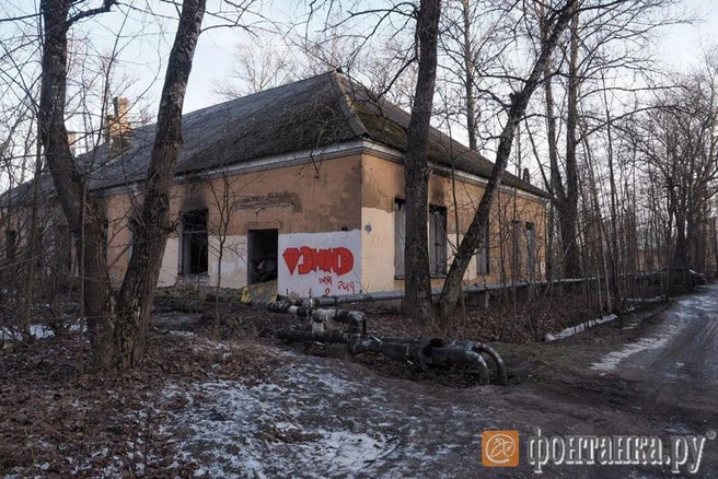 Источник: автор фото Михаил Огнев/«Фонтанка.ру»