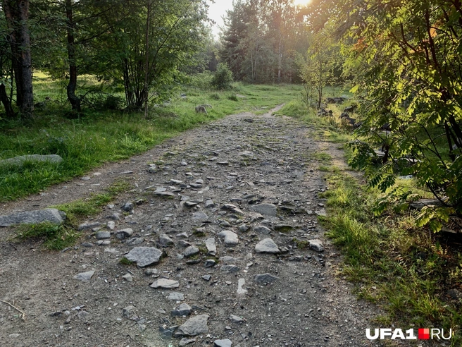 Вход в парк «Каменный бор»