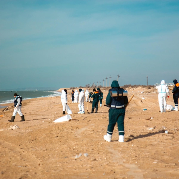 Источник: Владислав Крамской / пресс-служба ГУ МЧС России по Краснодарскому краю