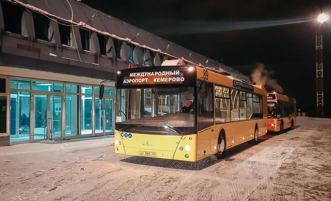 Проект оценивается как полезный, однако отмечается малое количество задействованных единиц транспорта | 142.ru