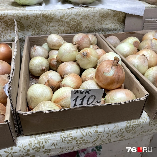 Лук выглядит свежим | Источник: Кирилл Поверинов / 76.RU