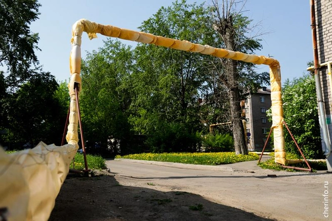 Источник: st.cherinfo.ru