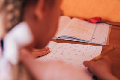 Школы Михайловска уйдут на дистант 25 марта