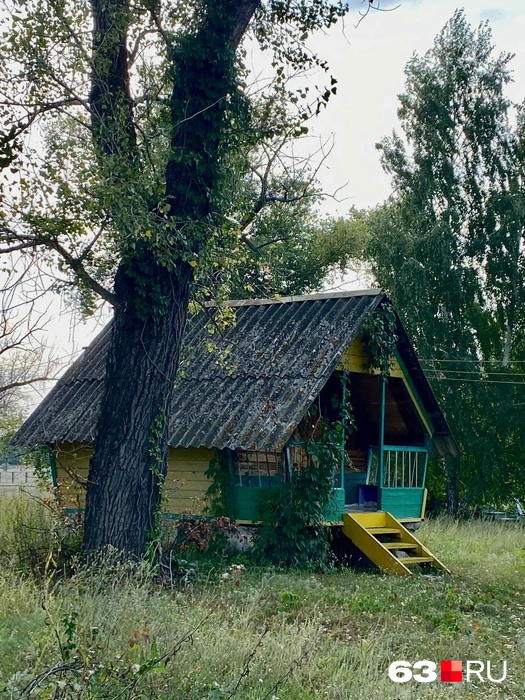 Словно у бабушки в деревне | Источник: Ксения Бирюкова / 63.RU