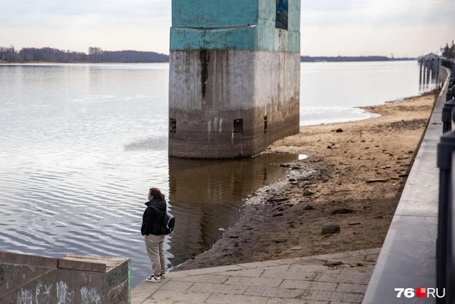 Горожане приходят насладиться пейзажами | Источник: Кирилл Поверинов / 76.RU