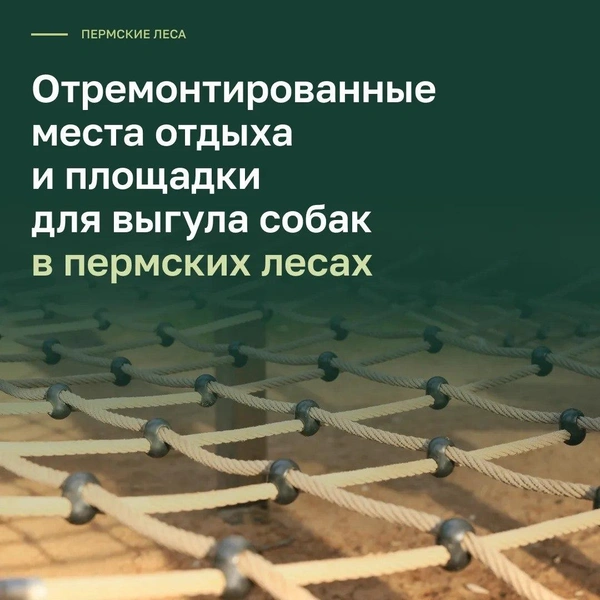 Источник: пресс-служба администрации Перми