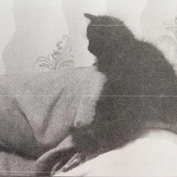 Источник: Объединенная пресс-служба судов Санкт-Петербурга