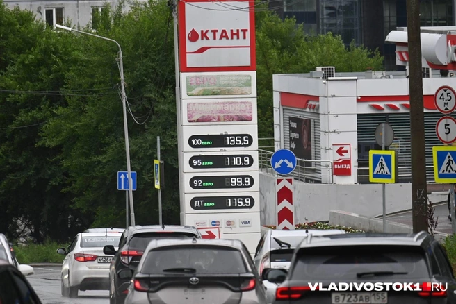 Источник: Елена Буйвол / VLADIVOSTOK1.RU