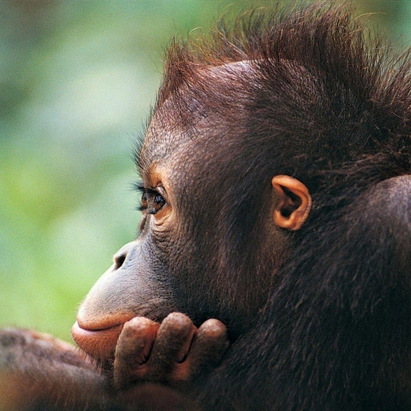 Источник: Соцсети