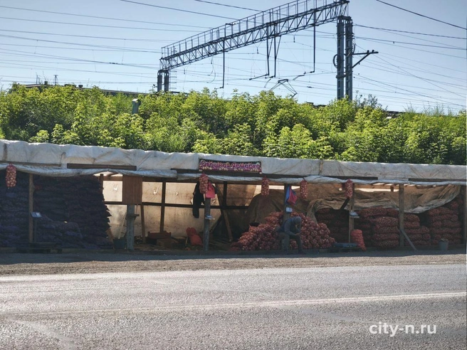 Источник: www.city-n.ru