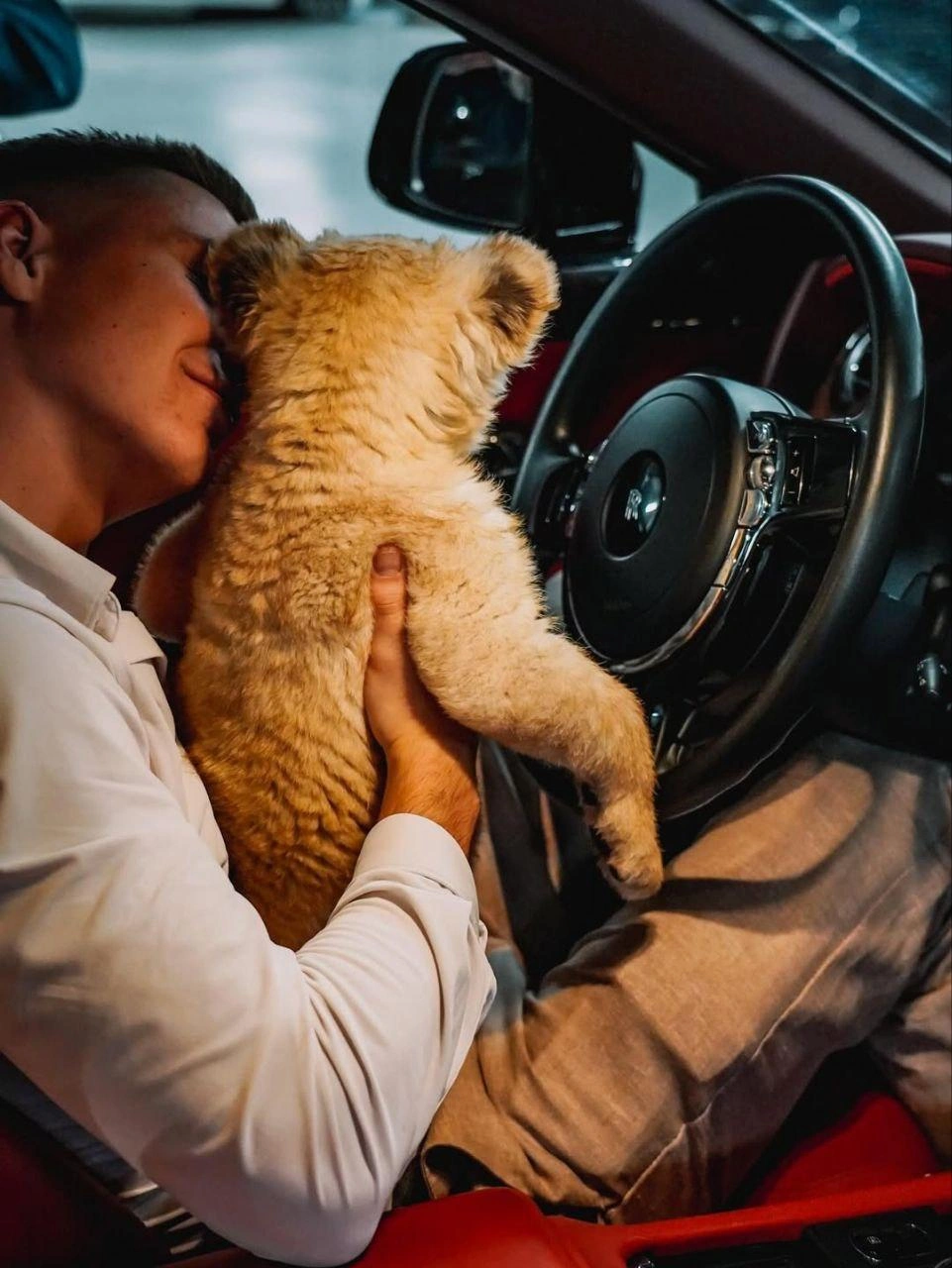 Блогер истязал животное | Источник: dmitry_kot1 \ Instagram (экстремистская организация, деятельность запрещена на территории РФ)