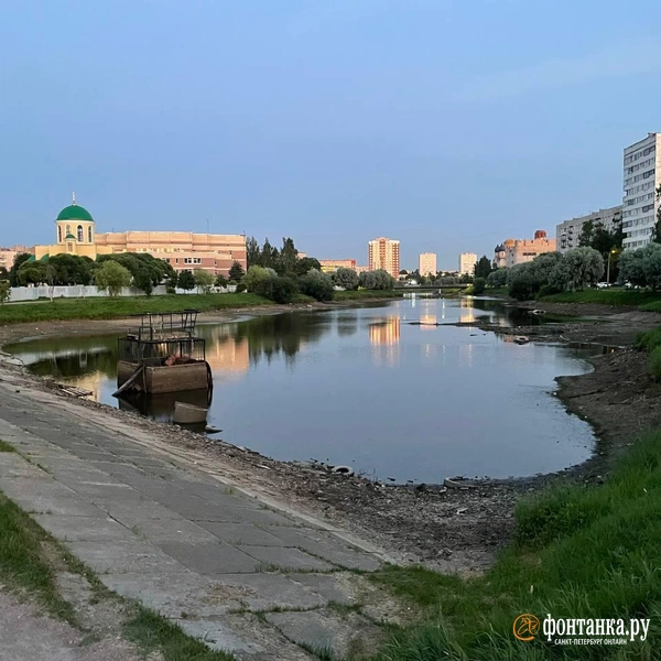 Из-за обмеления речки Новой на проспекте Ветеранов на поверхности показалось неожиданное | Источник: читатель «Фонтанки»
