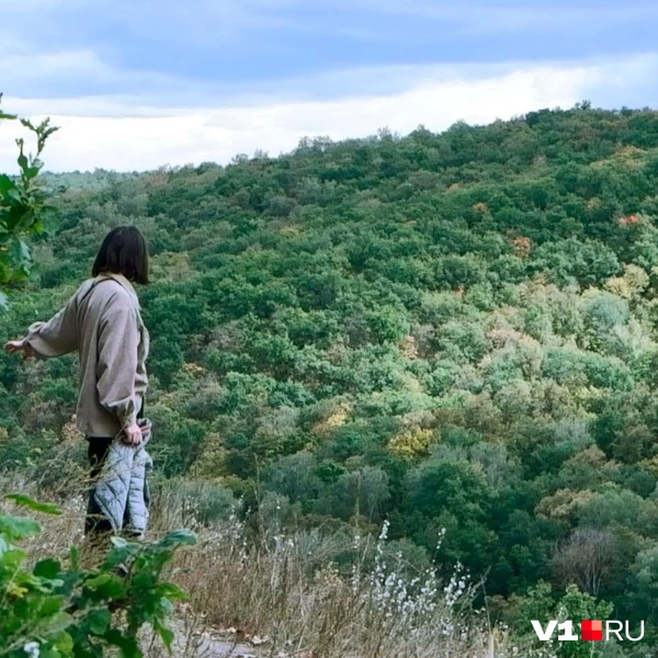 Источник: Илья Воробушкин / V1.RU