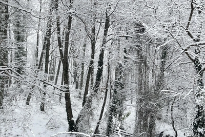 Мамайский перевал в Сочи засыпало снегом, ГИБДД просит не ездить