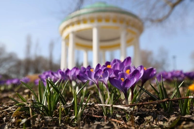 Погода в Москве на месяц опережает календарь