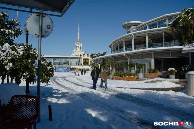 Приморская набережная сегодня выглядит так | Источник: Оксана Витязь / SOCHI1.RU