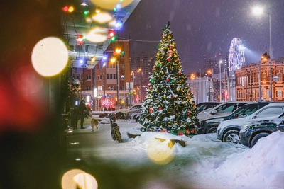 Андрей Шихов рассказал о погоде на новогодние праздники