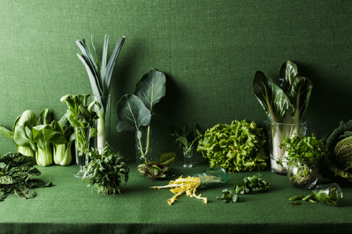 Натюрморт из зеленых овощей