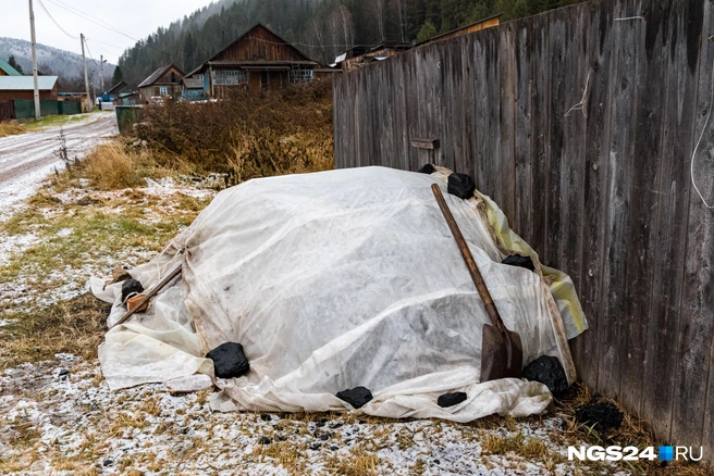 Зима близко | Источник: Мария Ленц / NGS24.RU