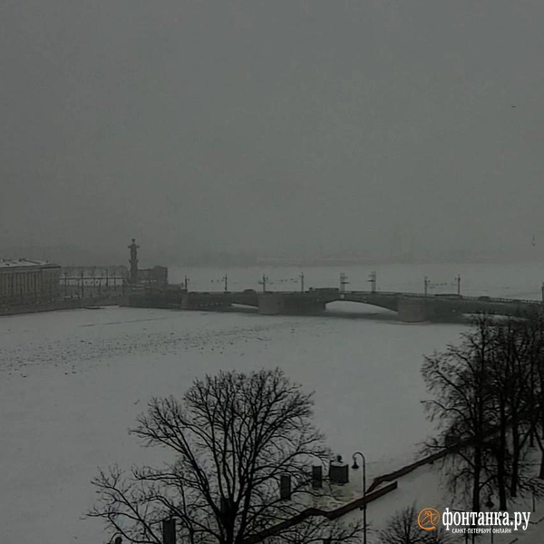 Источник: видовые камеры «Фонтанки»