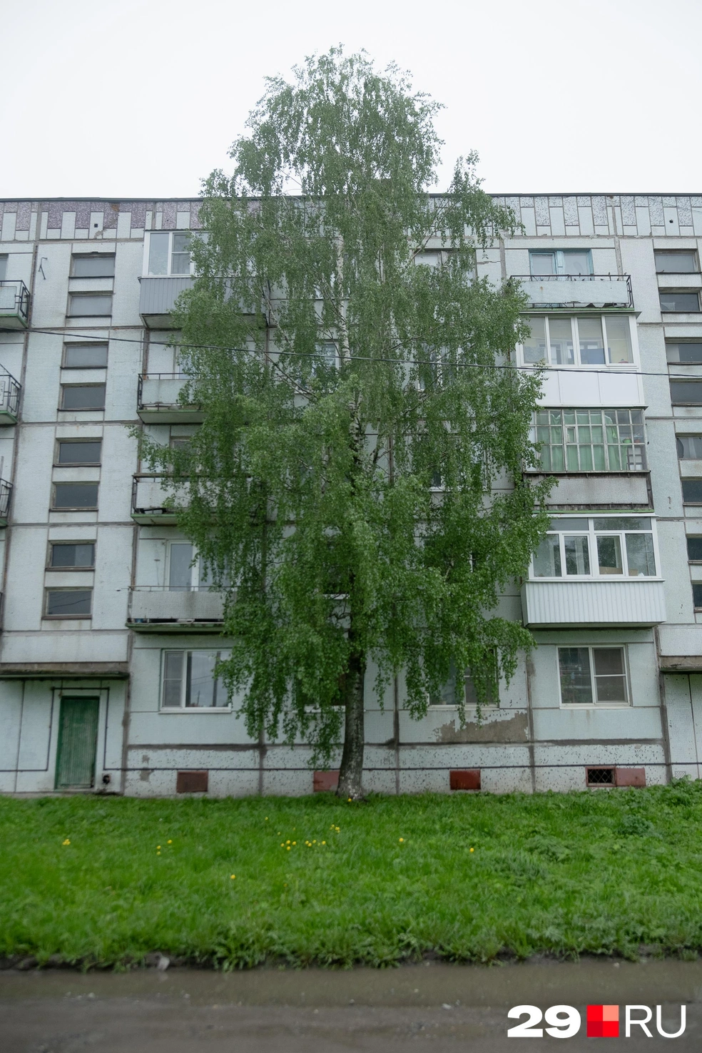 Источник: Иван Митюшёв / 29.RU