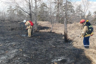 Неизвестный поджег траву у ЗабГУ, студенты-спасатели потушили