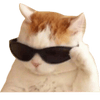 userpic__Мираж
